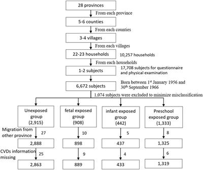 Early-Life Exposure to the Chinese Great Famine and Later Cardiovascular Diseases